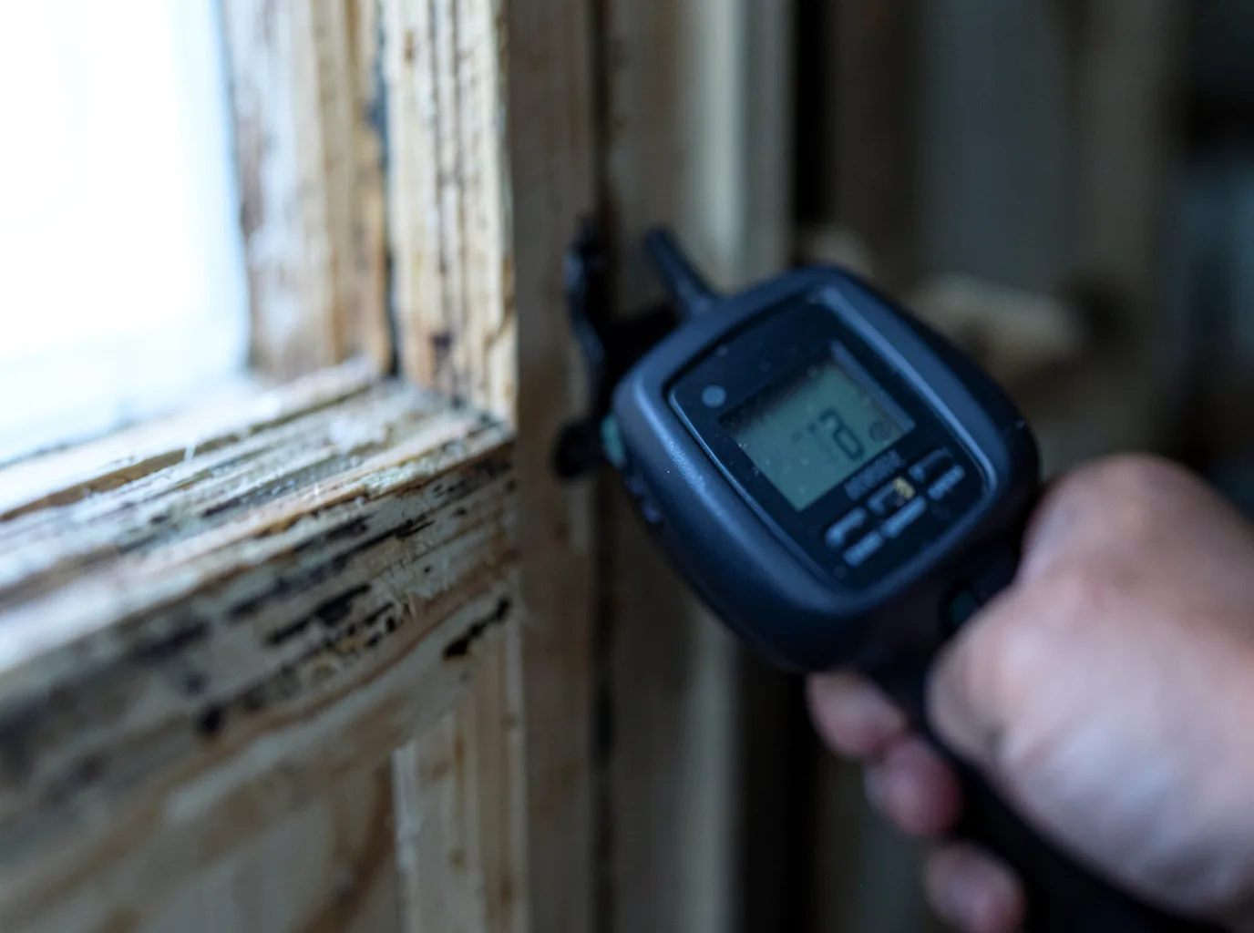 Moisture Inspection And Documentation in Tallmansville, WV